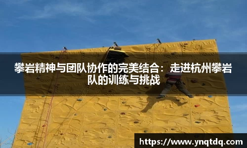攀岩精神与团队协作的完美结合：走进杭州攀岩队的训练与挑战